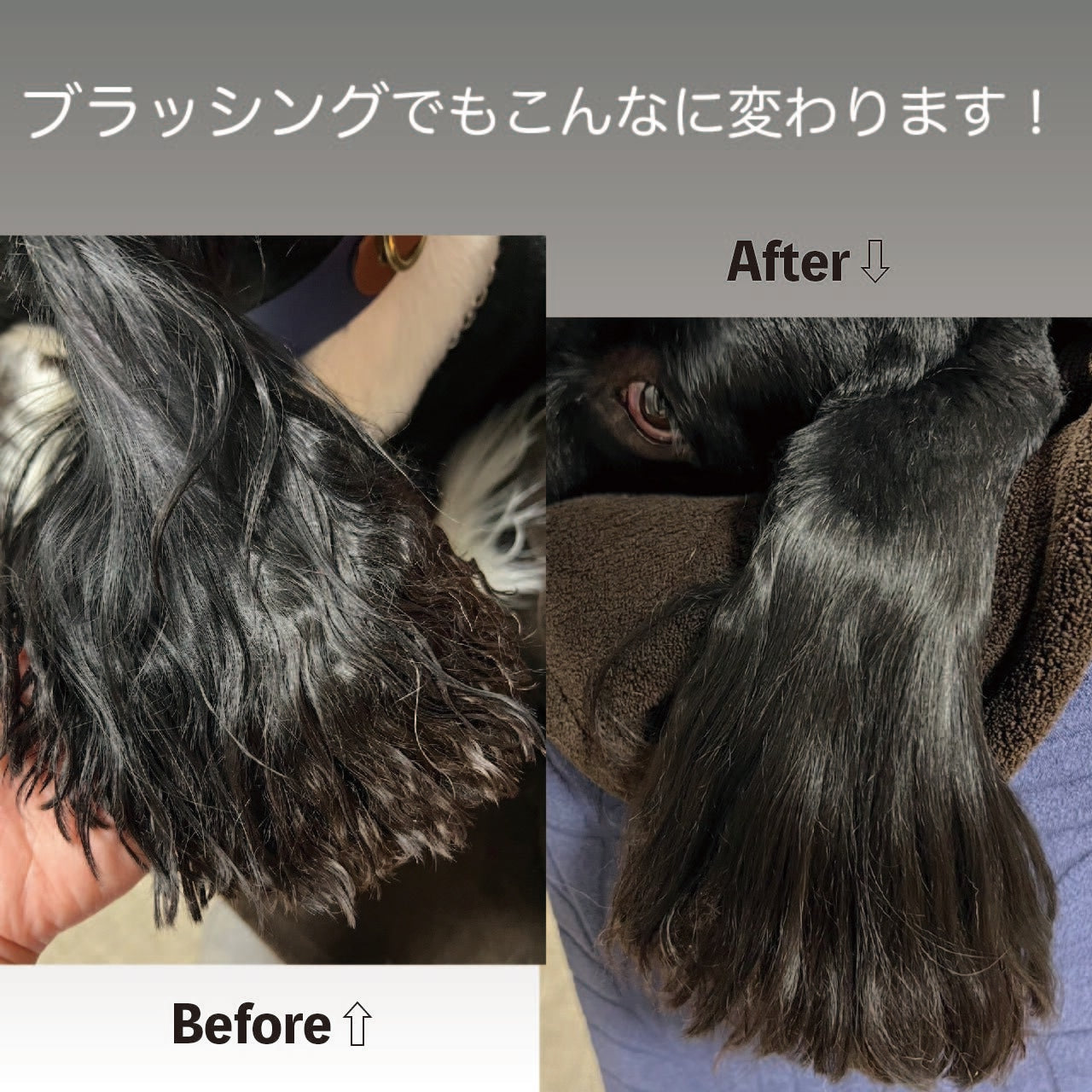 【HONI】プロテクトミスト フローラルリリー